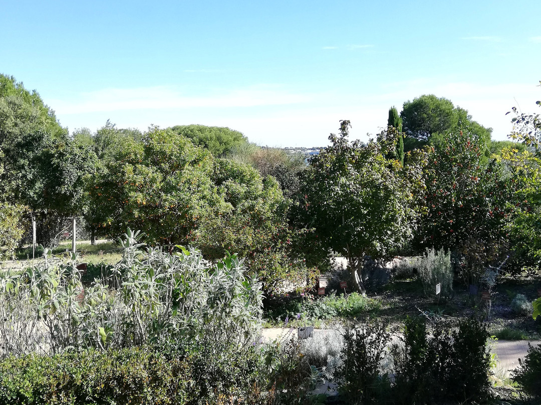 Jardin Antique Méditérranéen景点图片