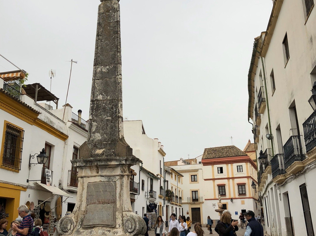 Plaza del Potro景点图片