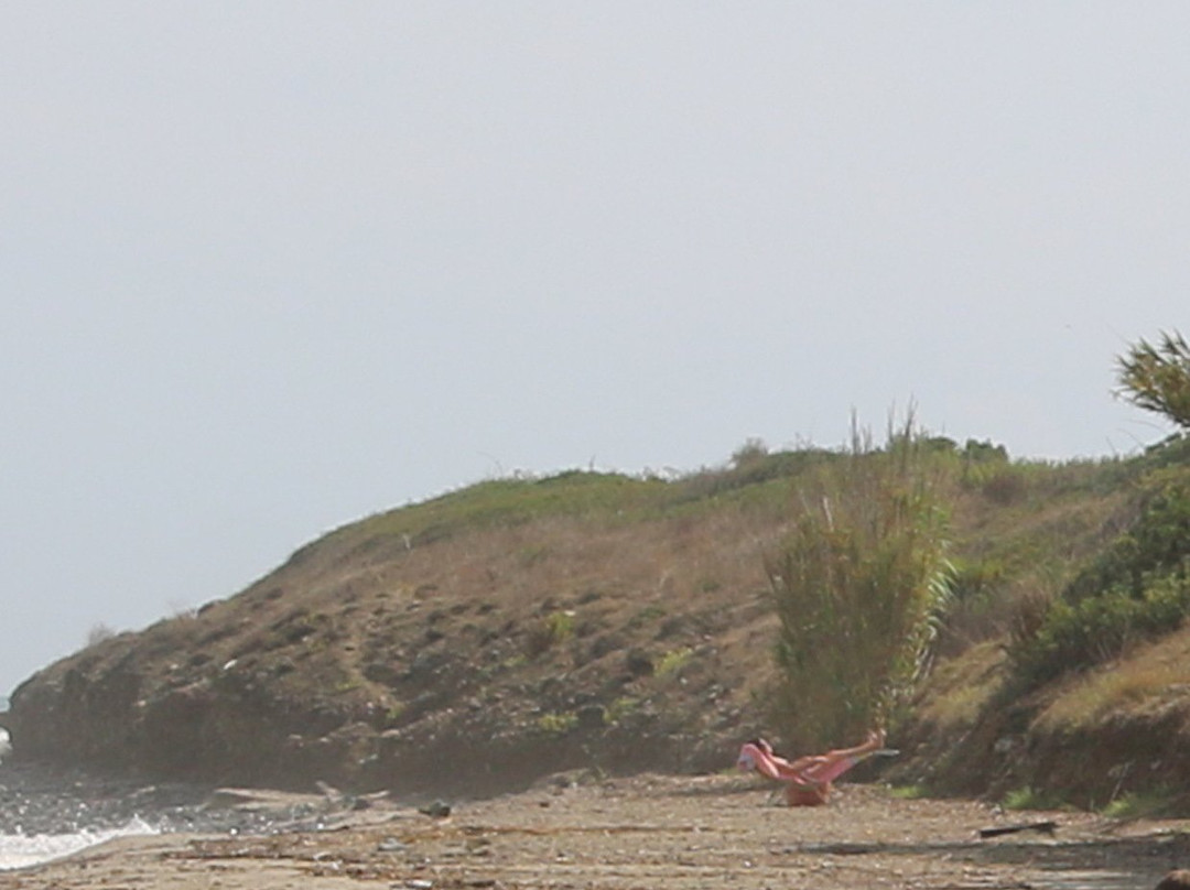 Plage de Prunete景点图片