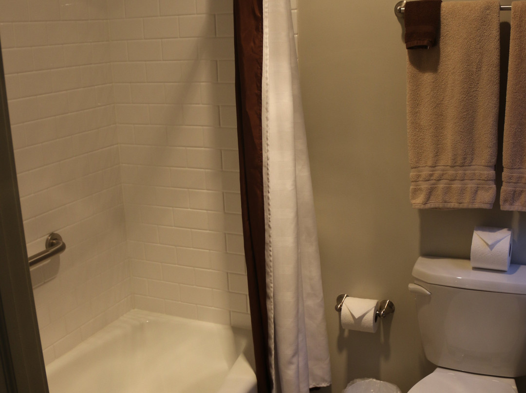 Hotel Greenfield主图