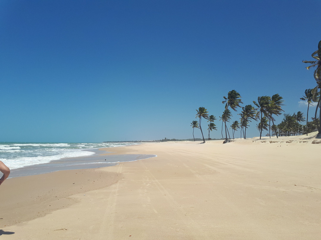 Praia de Cumbuco景点图片