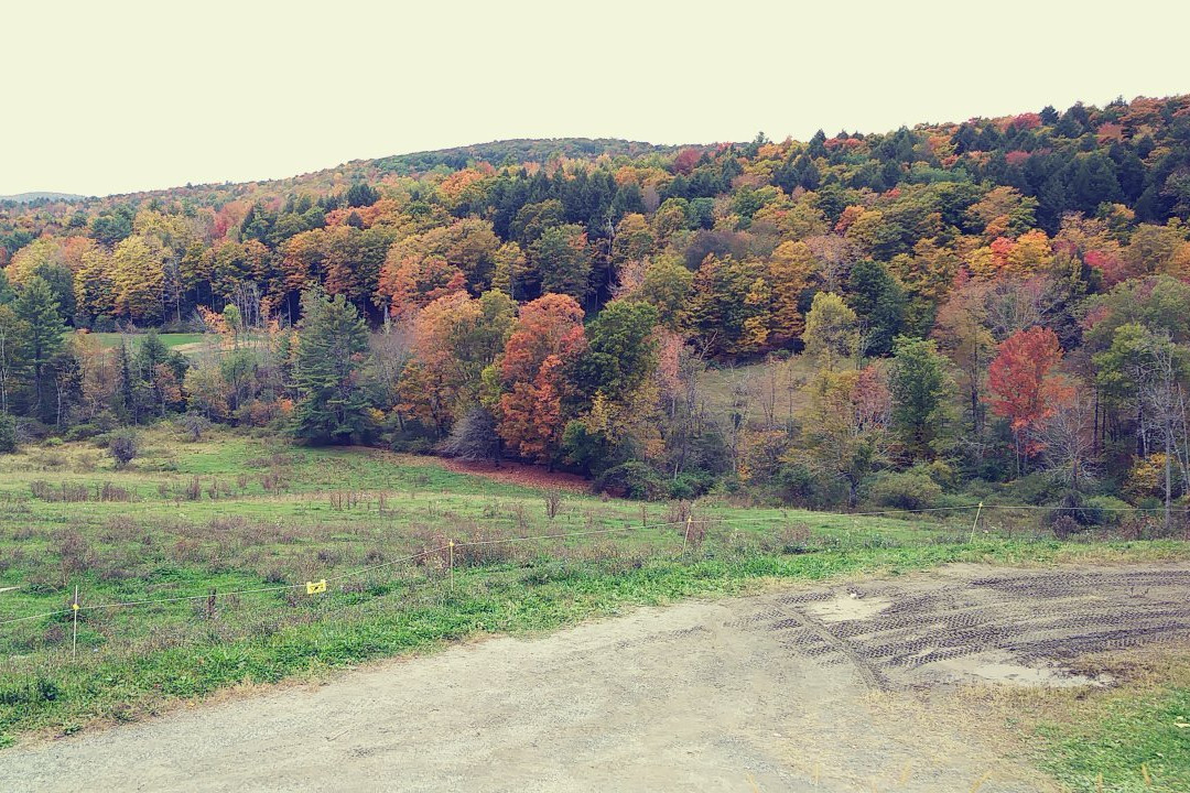 Hope Cemetery-Barre必去景点