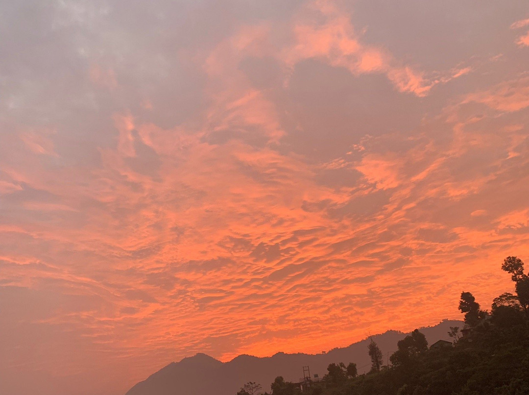 Begnas Coffee House主图