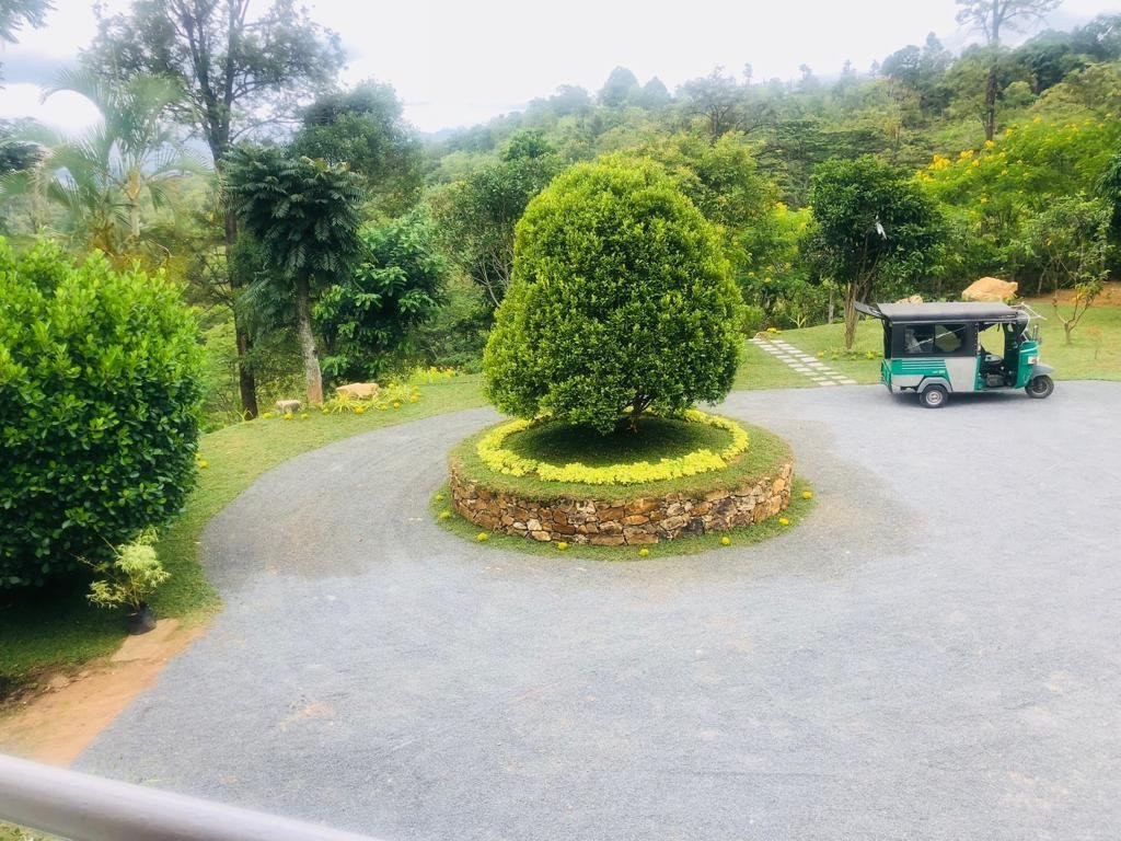 Morning Mist Guesthouse主图