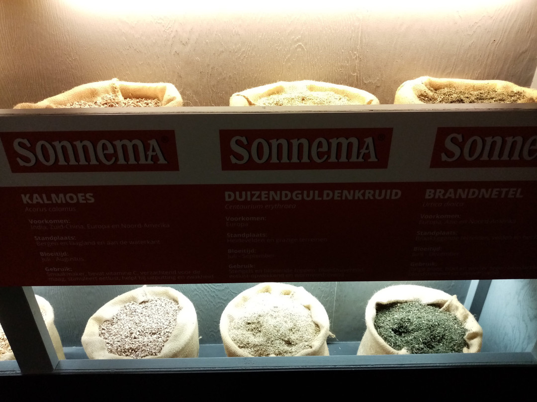 Sonnema-Bolsward必去景点