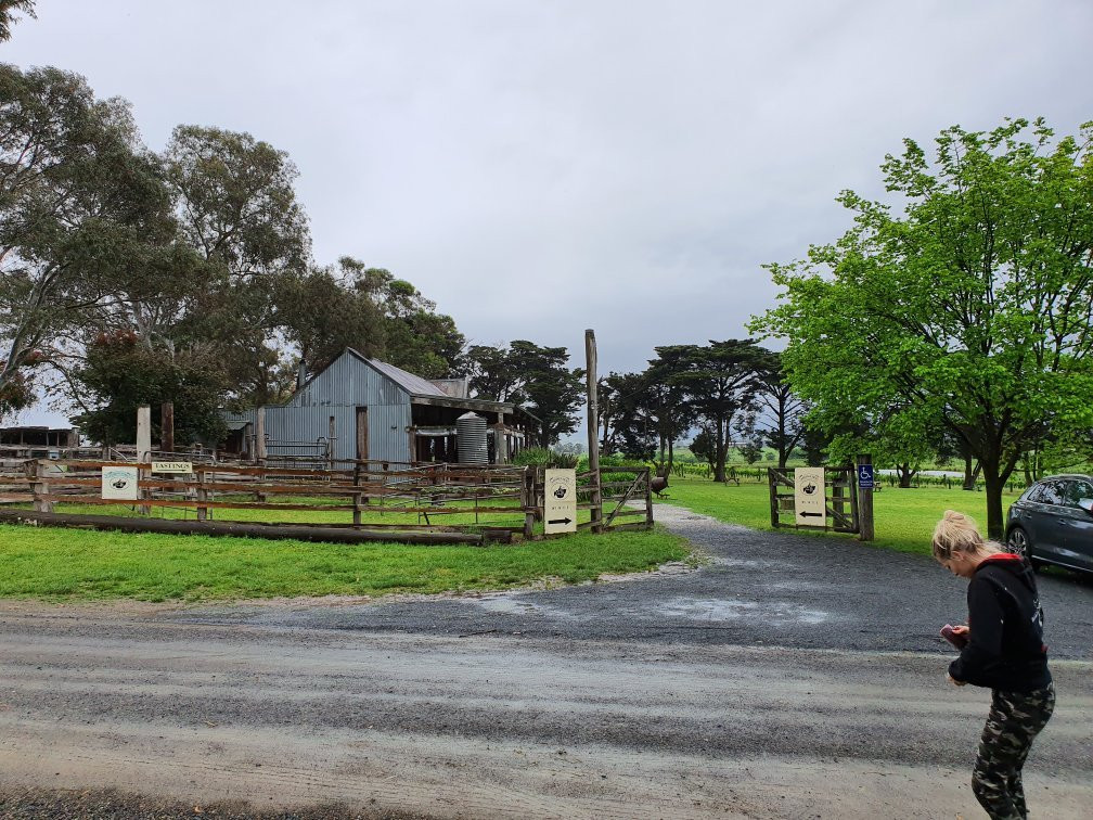Yering Farm Wines-优伶必去景点