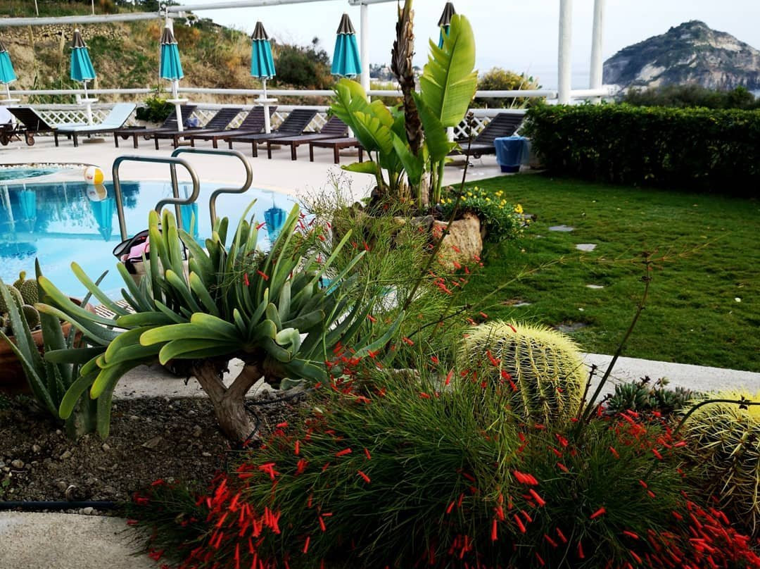 Terme di Ischia-Ischia Porto必去景点