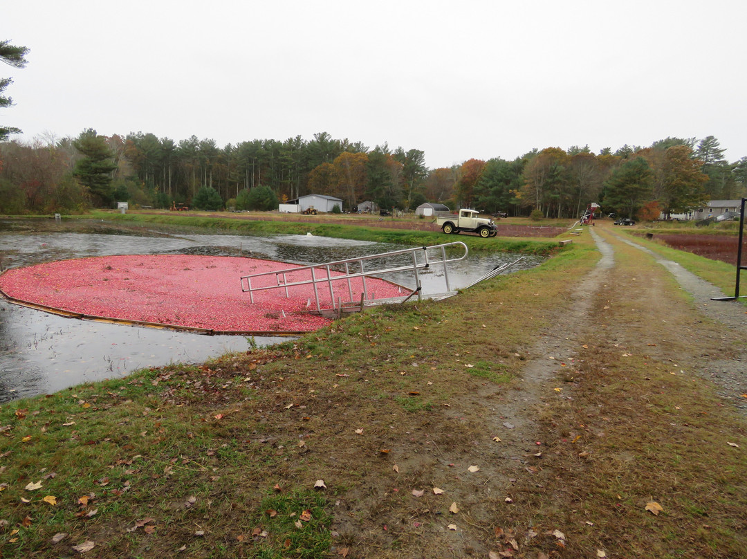 Stone Bridge Farm-Acushnet必去景点