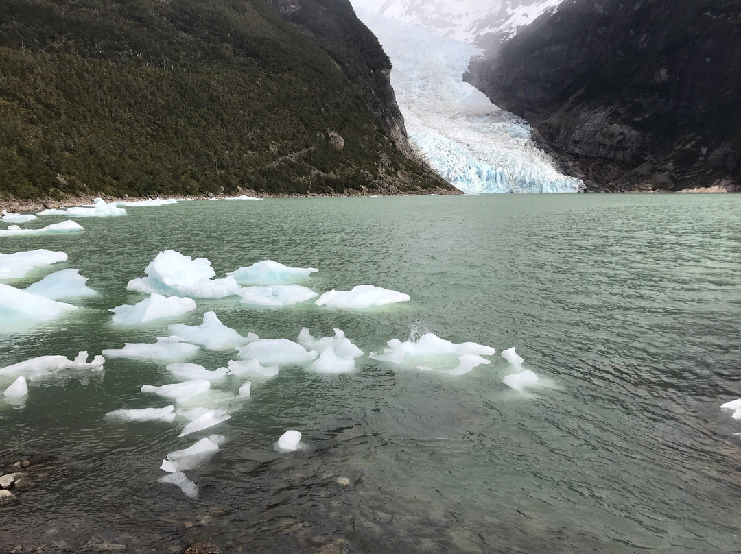 Bernardo O'Higgins National Park-纳塔莱斯港必去景点