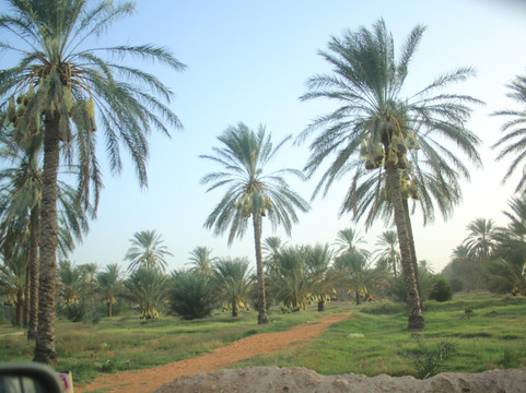 GTH voyages-杰尔巴岛必去景点