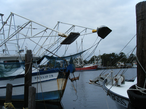 Bayou La Batre旅游攻略图片