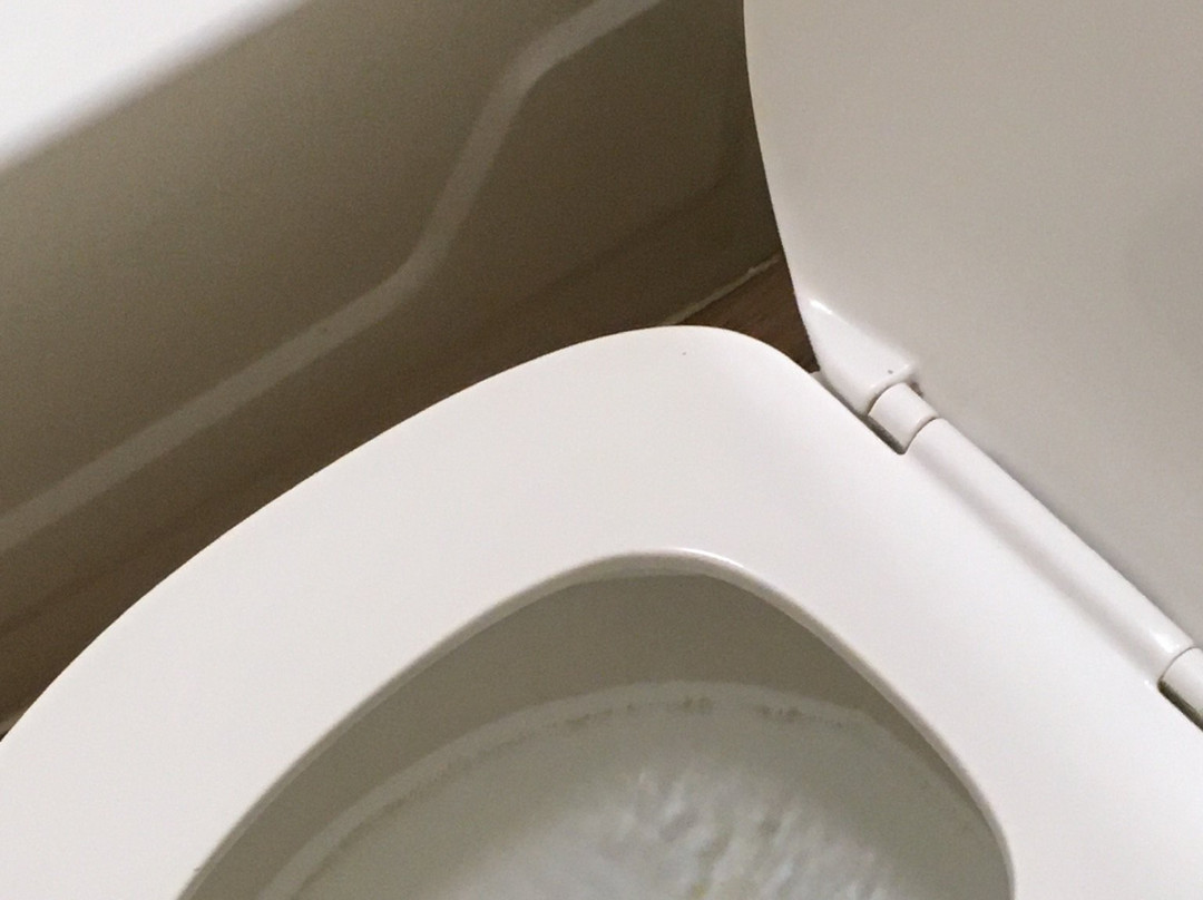 Red Roof Inn Binghamton - Johnson City主图