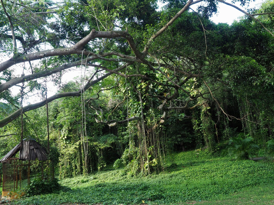 Jardines de Hershey-Jibacoa必去景点