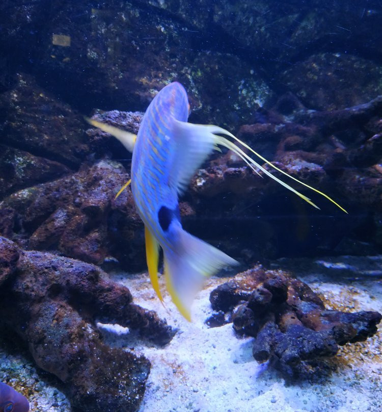Aquarium de Dunkerque-敦克尔克必去景点
