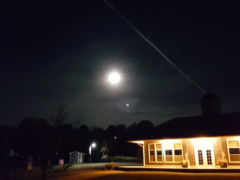 Westfield Beach-Grand Bay-Westfield必去景点