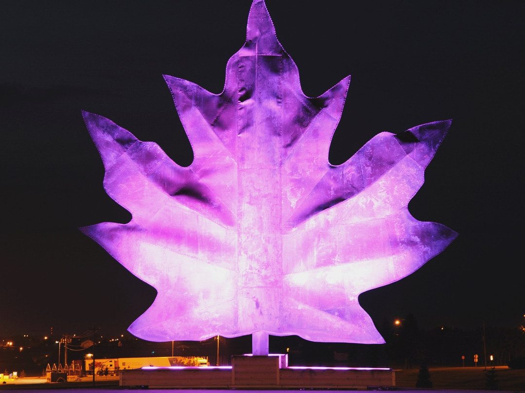 Kedgwick旅游景点-Le Parc du Centenaire