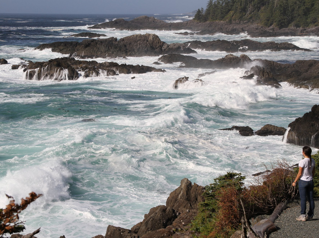 Wild Pacific Trail景点图片