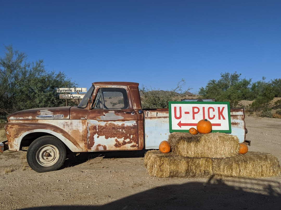 Justice Brothers U-Pick-瑟普赖斯必去景点