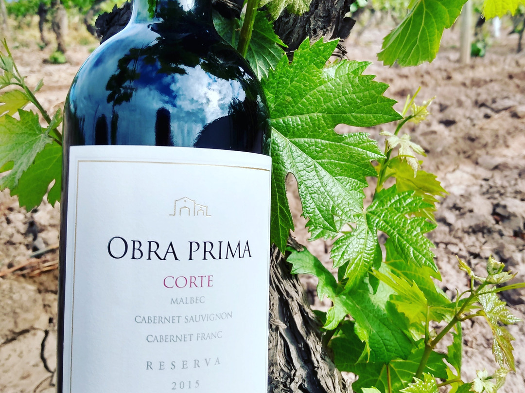 Bodega Familia Cassone-路冉得库约必去景点