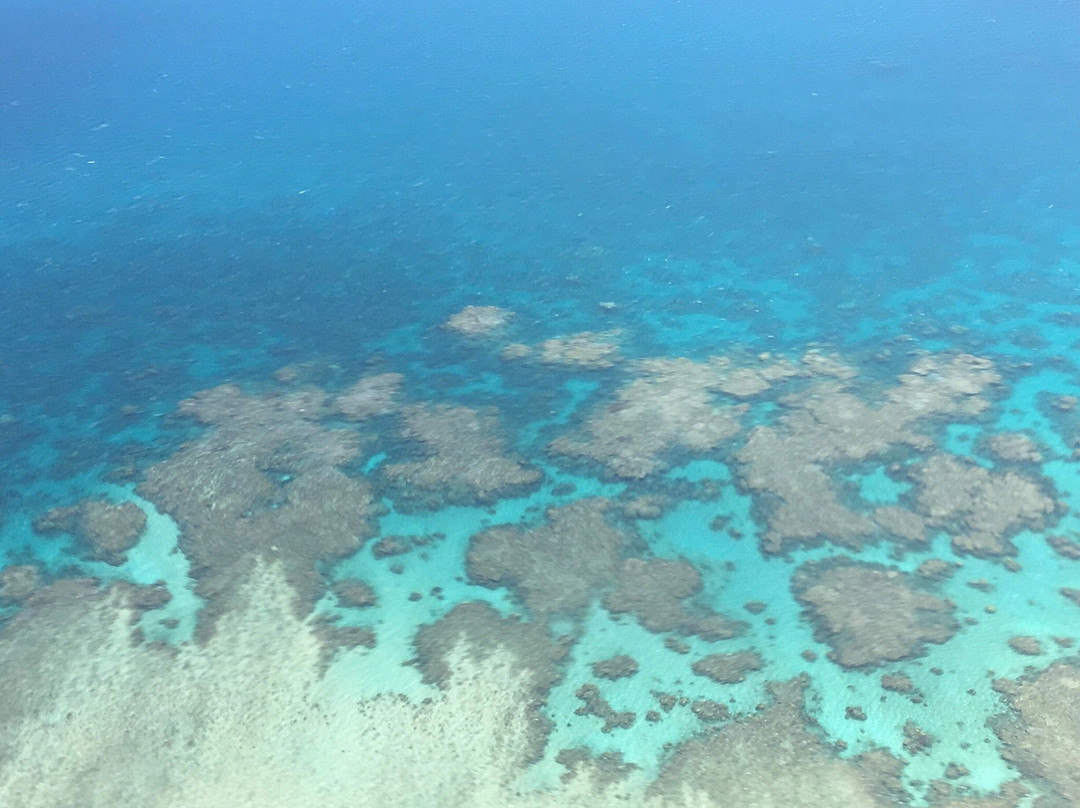 Mayotte Océan-Dzaoudzi必去景点