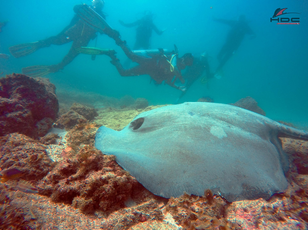 Huatulco Dive Center-瓦图尔科必去景点