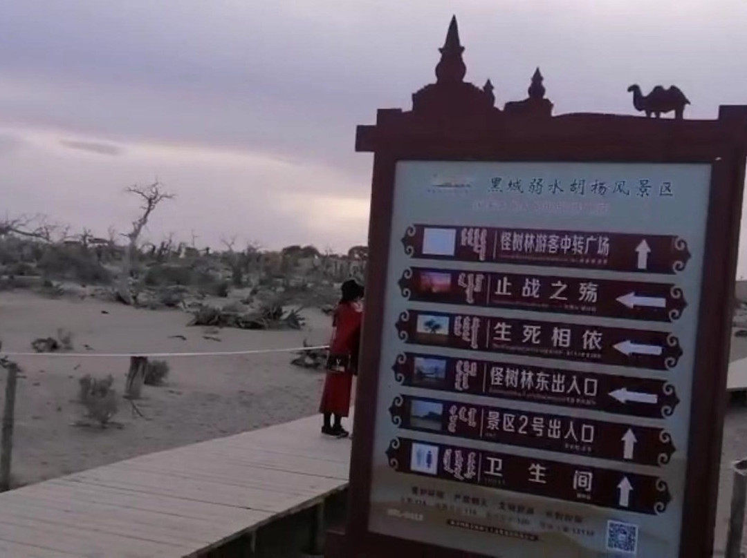 内蒙古额济纳旗胡杨林国家级自然保护区景点图片
