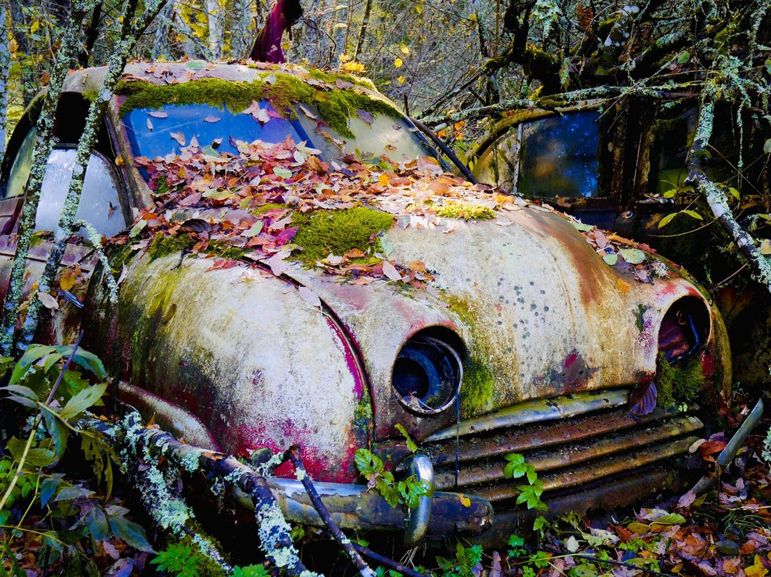 Bastnas Car Cemetery-Tocksfors必去景点