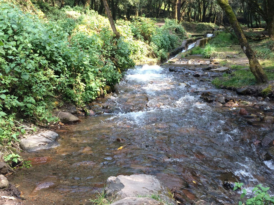 Tlalmanalco旅游景点-Parque Ecoturistico Dos Aguas