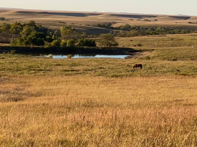 Prairie Earth Tours-恩波里亚必去景点