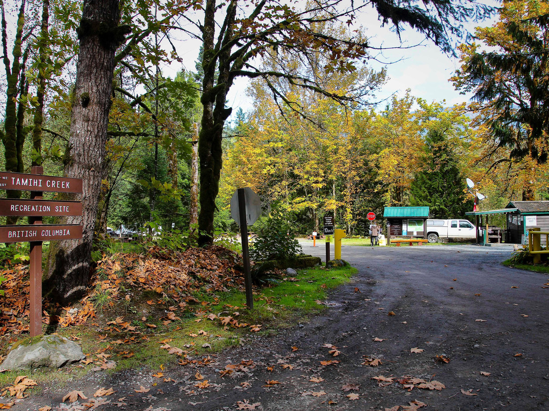 Fishtrap Creek Park景点图片