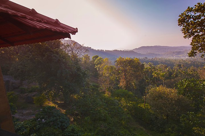 Marmalade Springs主图