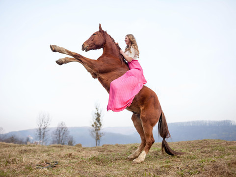 Horse riding club "Tempo"-利沃夫必去景点