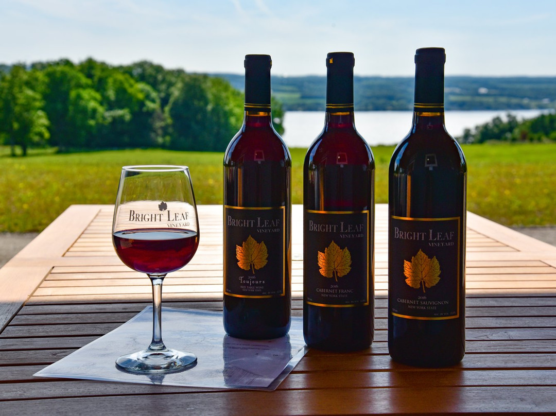 Bright Leaf Vineyard