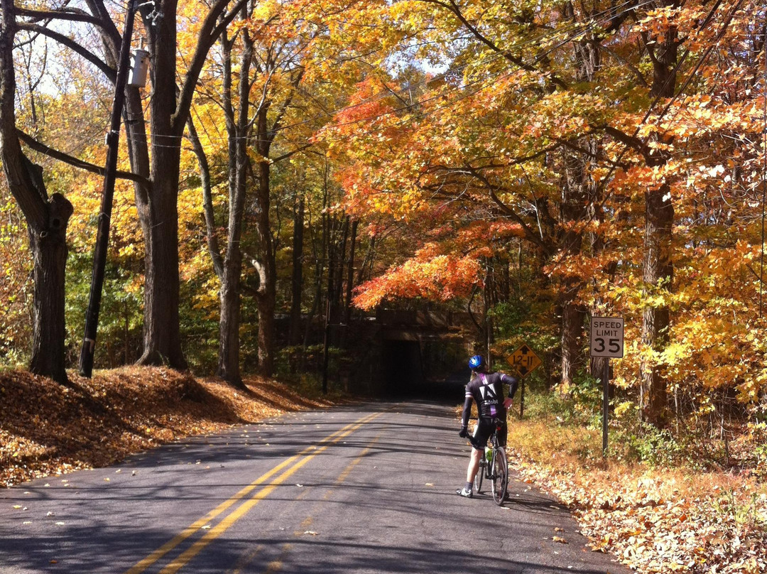 NJ Bike Tours​