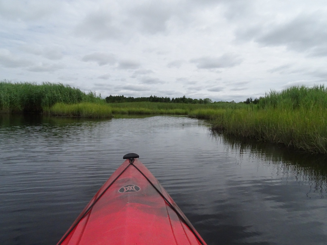 West Creek Kayak and Canoe景点图片