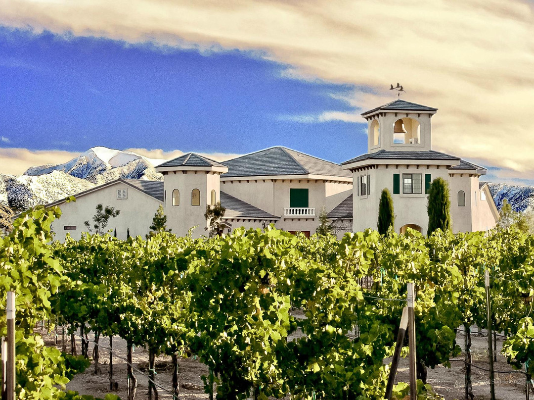 Tecopa旅游景点-Sanders Family Winery