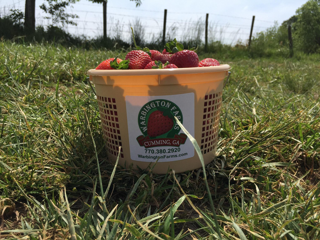 卡明旅游景点-Warbington Farms