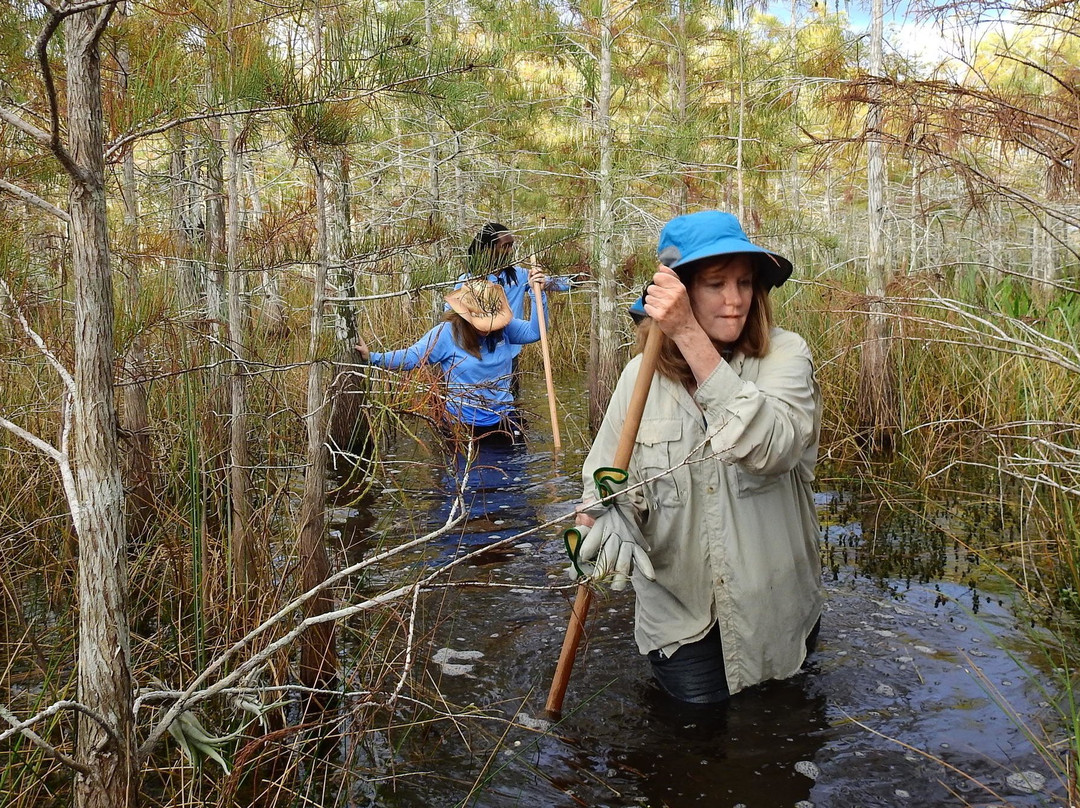 Everglades Wilderness Institute