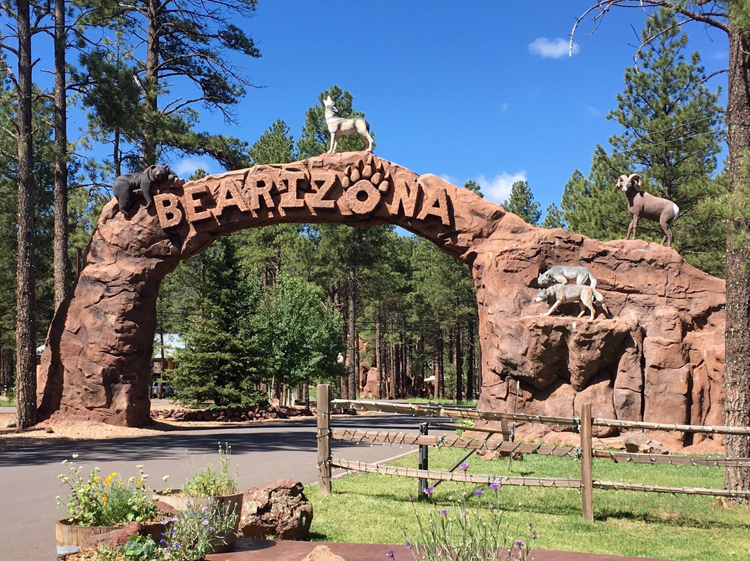 熊利桑那野生动物园-威廉姆斯必去景点