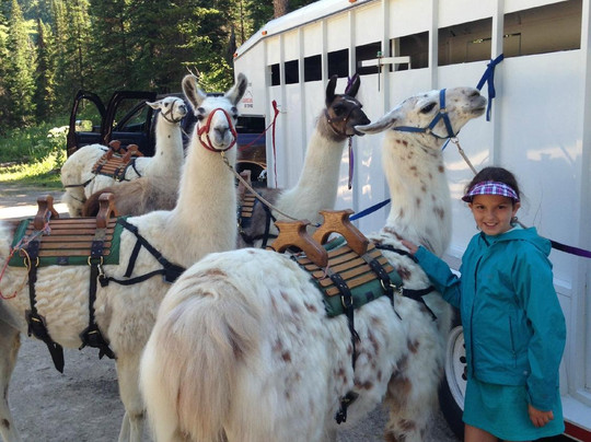 Wildland Llamas-杰克逊必去景点