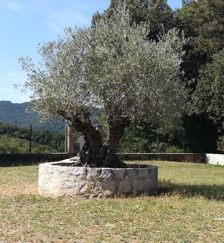 Eglise Saint-Césaire-Grosseto Prugna必去景点