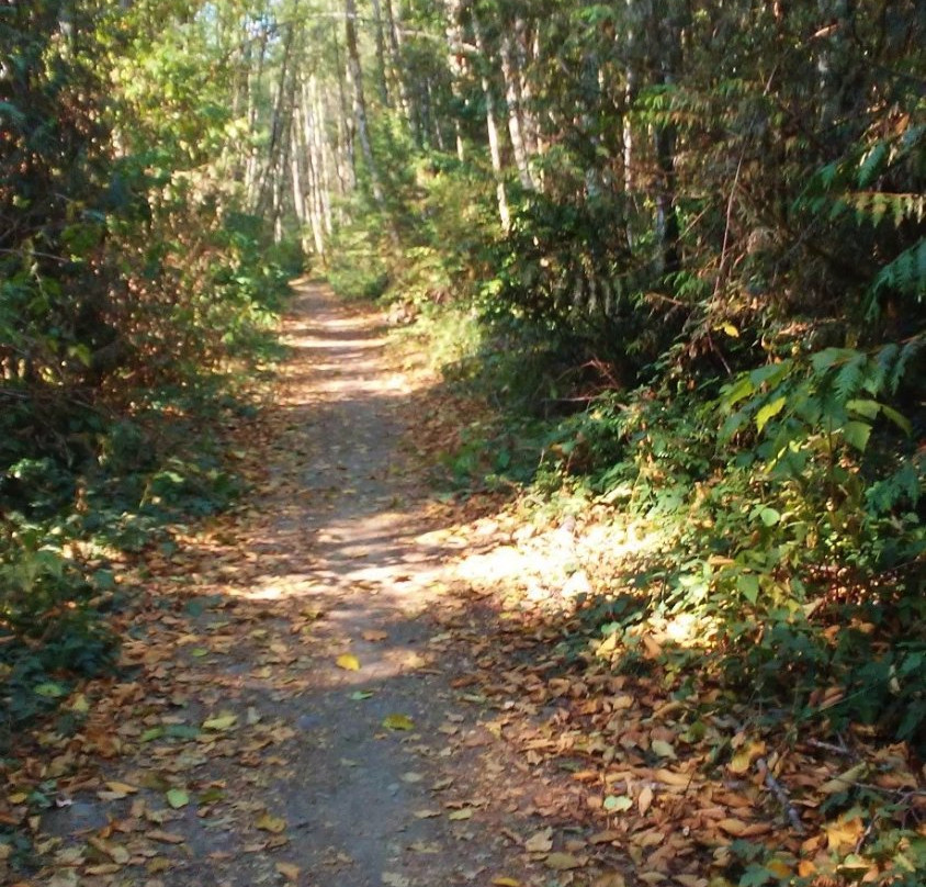 Putney Woods Trails景点图片