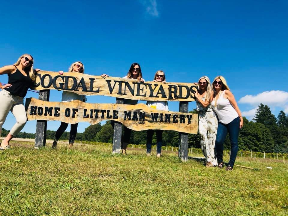 Cogdal Vineyards-南黑文必去景点