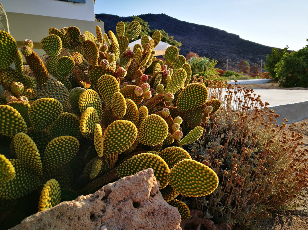 Domatia Me Thea主图