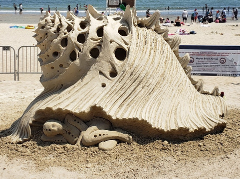 波士顿里维尔凯艺酒店主图