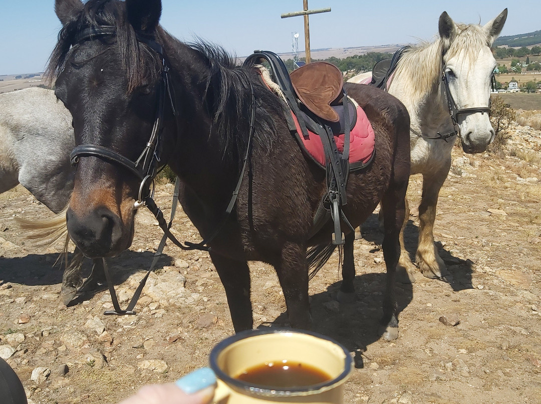 Dullstroom on Horseback-德尔斯特鲁姆必去景点