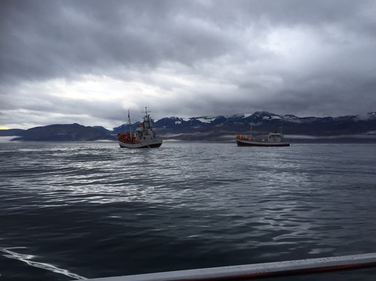 Salka Whale Watching-胡萨维克必去景点