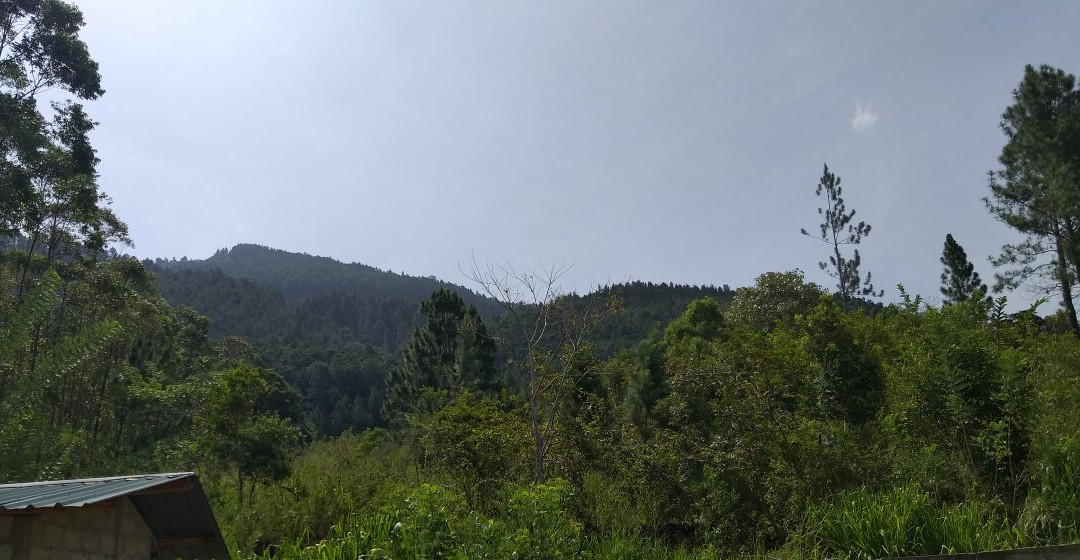 The Misty Mountain Guest House主图