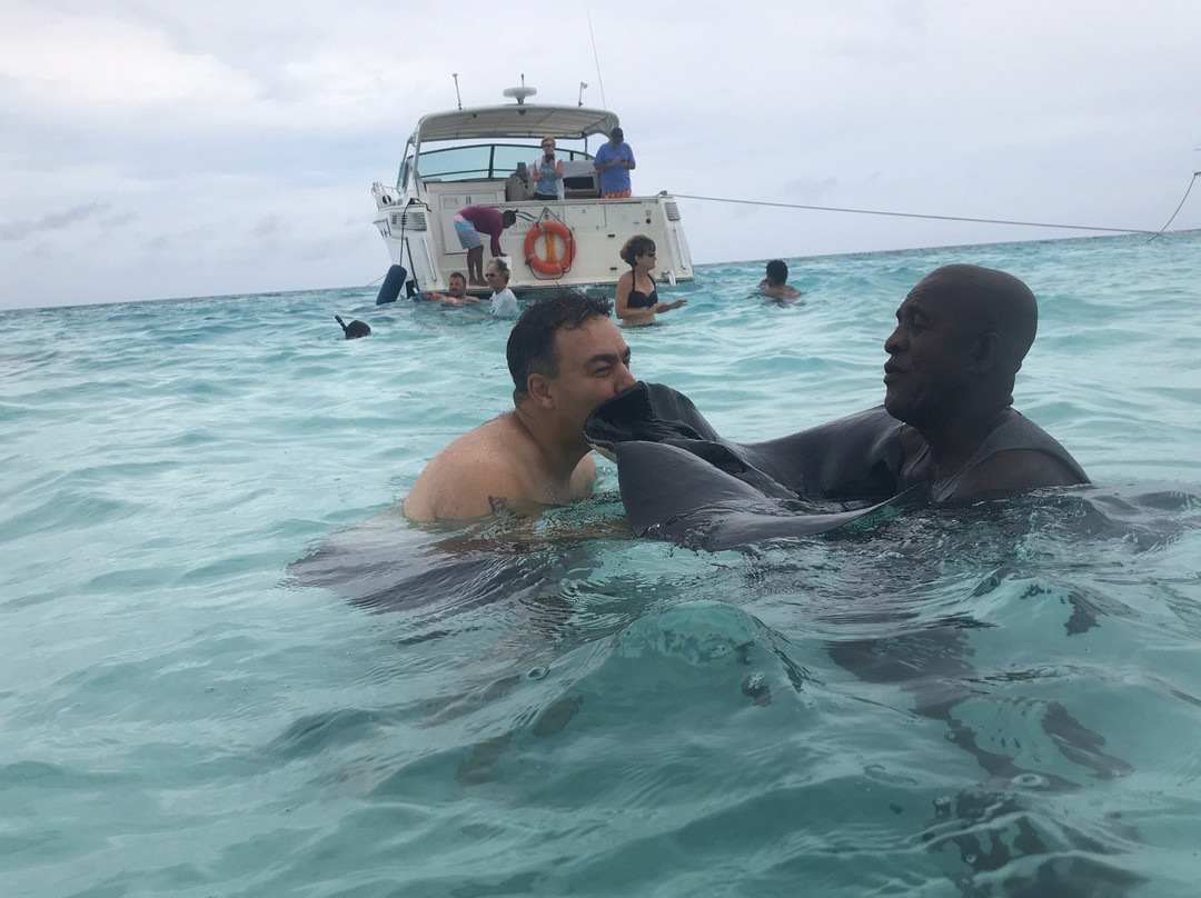 Stingray City Cayman Island Ltd