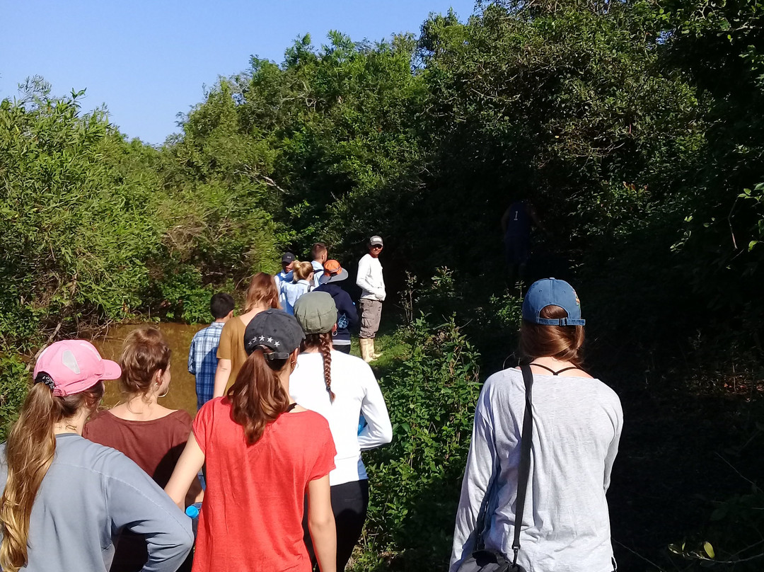 River Yacuma-Rurrenabaque必去景点